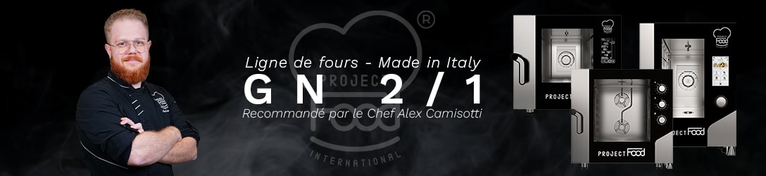 FOURS À CONVECTION VENTILÉS PLAQUES GN 2/1