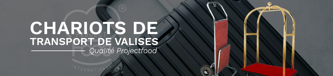 TRANSPORT DE VALISES