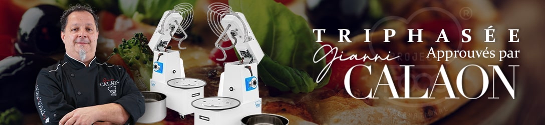 PÉTRINS SPIRALS AVEC CUVES AMOVIBLES TRIPHASÉE