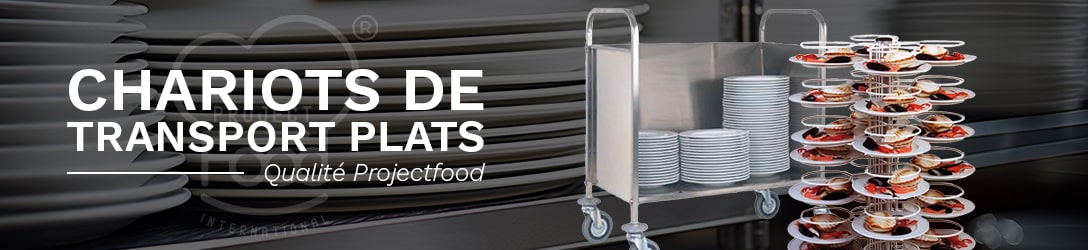 CHARIOTS DE TRANSPORT PLATS